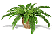artificial plants
